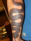 tattoo - gallery1 by Zele - celtic and viking - 2013 11 celtic snake tattoo